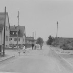 Bild des Monats April