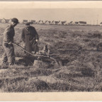 Bild des Monats Dezember